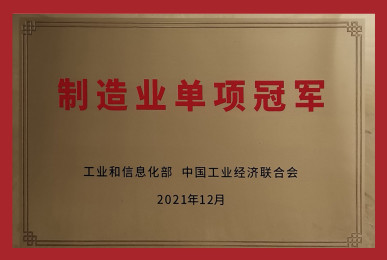 National individual champion demonstratiorenterprise