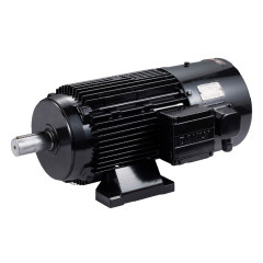 Động cơ đồng bộ (servo) nam châm vĩnh cửu hiệu suất cao dòng DMP